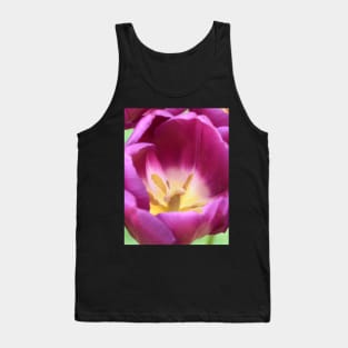 Tulipa 'Purple Flag' Triumph Tulip Tank Top